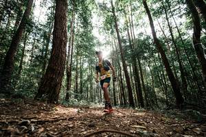 BIB: 
                            <button type="button" onclick="openModal(25261338)" class="btn btn-primary btn-sm float-right btn-popup" data-toggle="modal" data-target=".modal-high-quality">
                        <i class="fas fa-shopping-cart"></i> Add to Cart
                    </button>
                                            <button type="button" onclick="isThisMe(25261338, true)" class="btn btn-success btn-sm float-right btn-popup btn-isme hidden" data-toggle="tooltip" data-placement="bottom" title="นี่คือรูปของคุณใช่ไหม คลิกที่นี่เพื่อเอาเข้าอัลบั้ม">
                        <i class="fas fa-plus"></i> Add to album
                    </button>
                    <button type="button" onclick="isThisMe(25261338, false)" class="btn btn-warning btn-sm float-right btn-popup btn-isnotme hidden">
                        <i class="fas fa-ban"></i> Remove from album
                    </button>